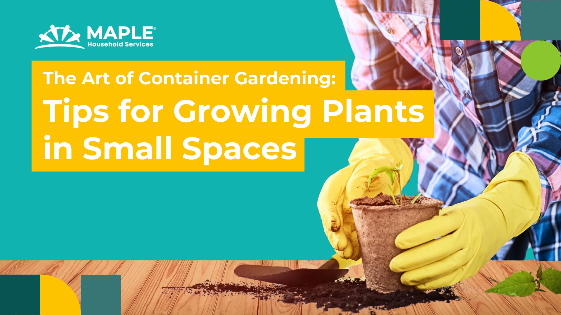 The Art of Container Gardening: Tips for Growing Plants in Small Spaces